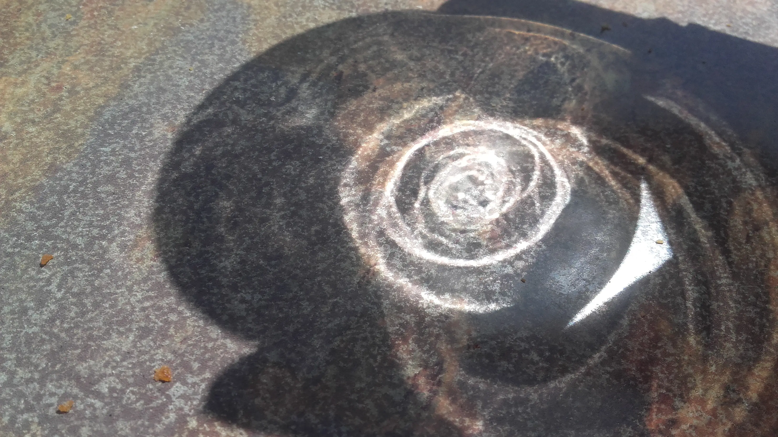 &Fotowelt - Reflektionen